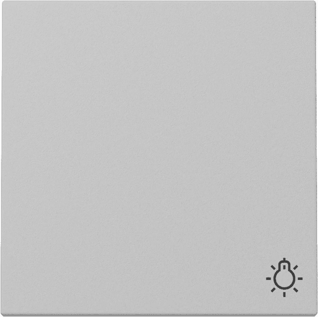 Wippe Symbol Licht System 55 Grau matt (lackiert) 3285015