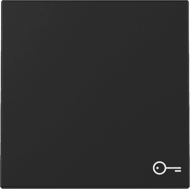 Wippe Symbol Tür System 55 Schwarz matt (lackiert) 3287005