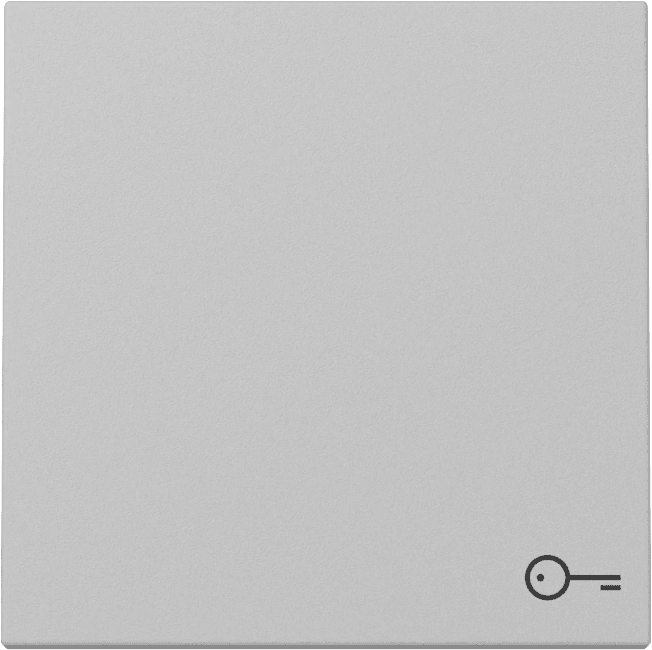 Wippe Symbol Tür System 55 Grau matt (lackiert) 3287015