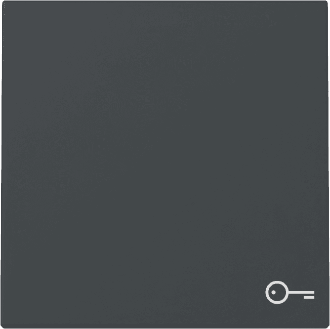 Wippe Symbol Tür System 55 Anthrazit 328728