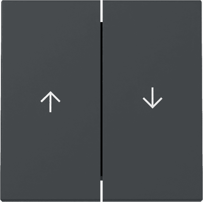 Wippe 2fach Pfeil System 55 Anthrazit 329428