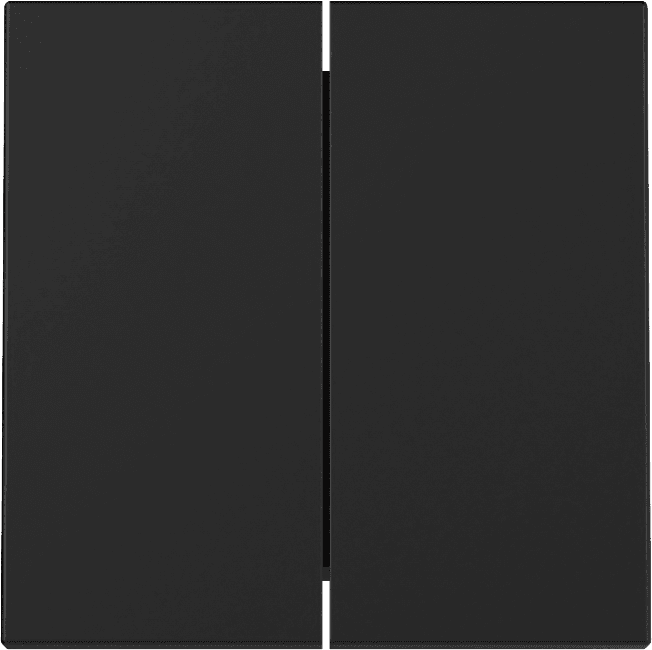 Wippe 2fach System 55 Schwarz matt (lackiert) 3295005