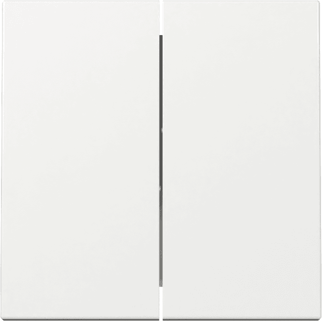 Wippe 2fach System 55 Reinweiß glänzend 329503