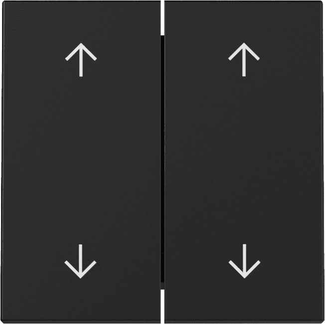 Wippe 2fach Pfeile System 55 Schwarz matt (lackiert) 3297005