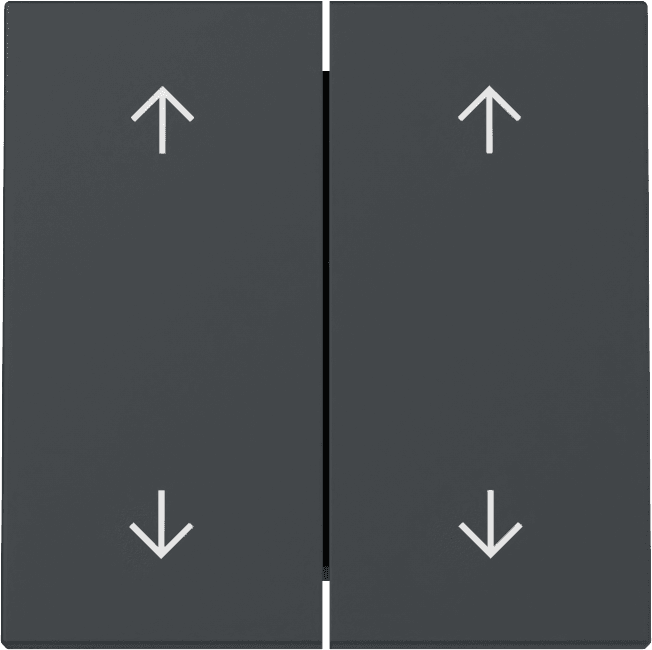 Wippe 2fach Pfeile System 55 Anthrazit 329728