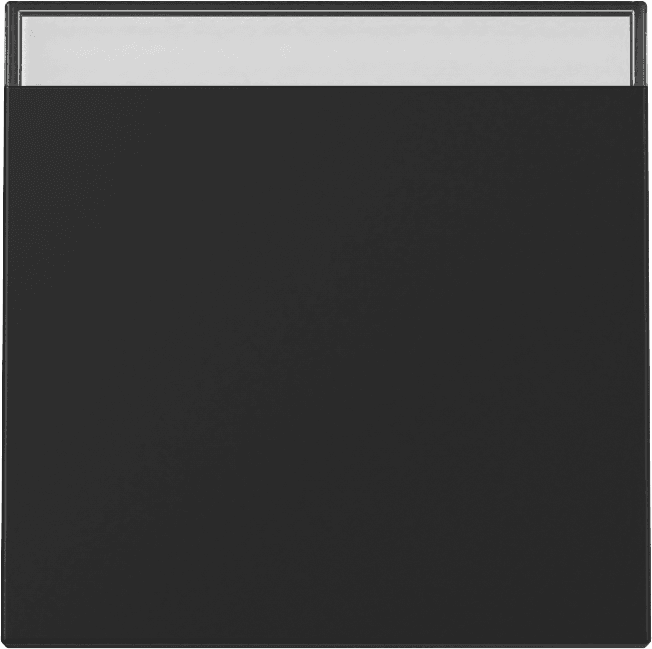 Wippe Beschriftungsfeld System 55 Schwarz matt (lackiert) 3299005