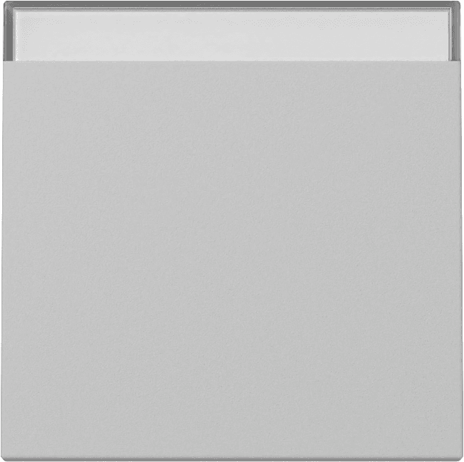 Wippe Beschriftungsfeld System 55 Grau matt (lackiert) 3299015