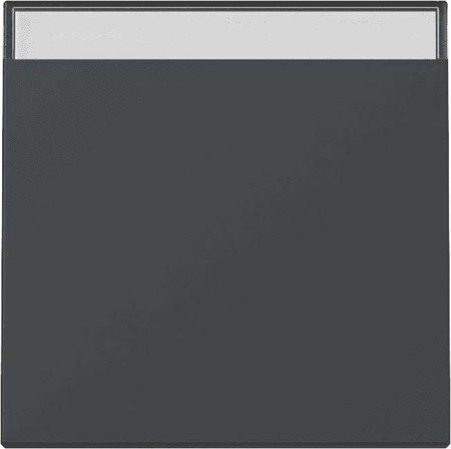 Wippe Beschriftungsfeld System 55 Anthrazit 329928