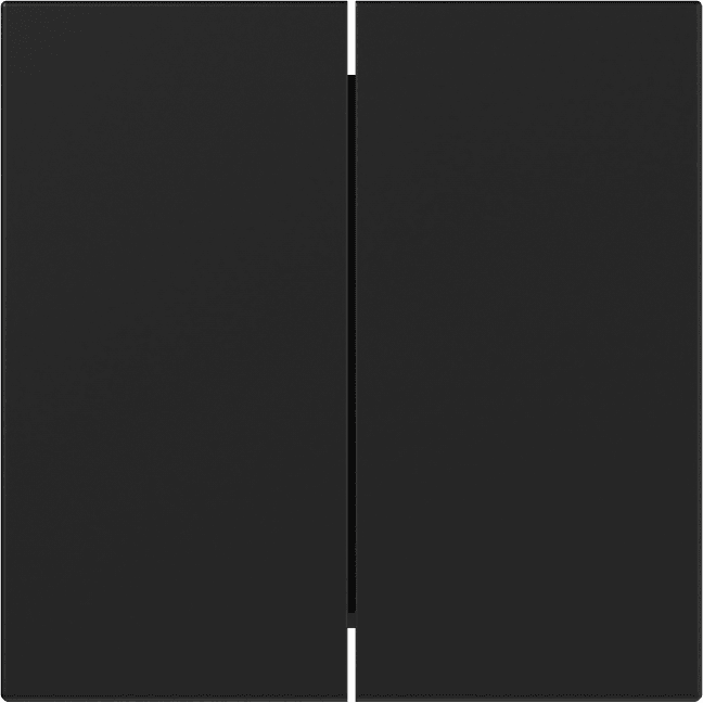 Wippe 2fach gerade System 55 Schwarz matt (lackiert) 3495005