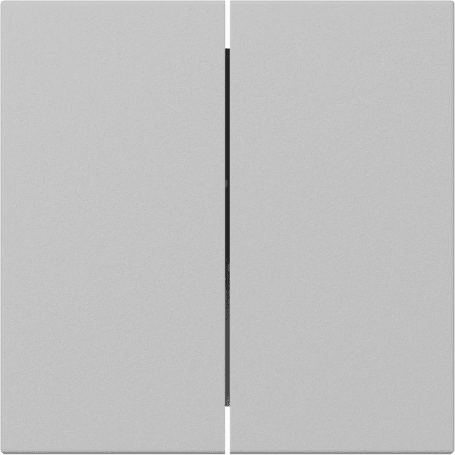 Wippe 2fach gerade System 55 Grau matt (lackiert) 3495015