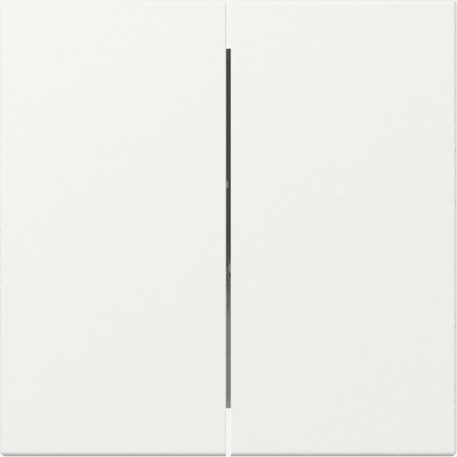 Wippe 2fach gerade System 55 Reinweiß seidenmatt 349527