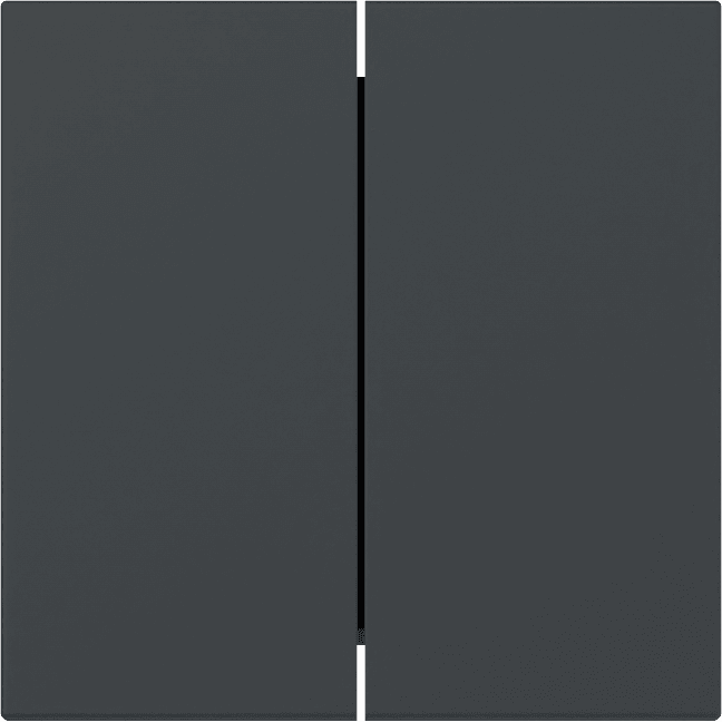 Wippe 2fach gerade System 55 Anthrazit 349528