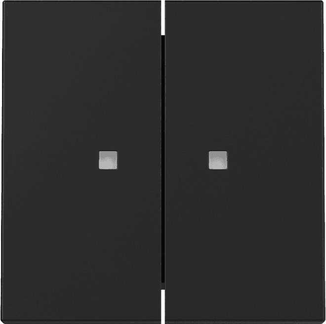 Wippe 2fach Kontrollfenster System 55 Schwarz matt (lackiert) 3631005