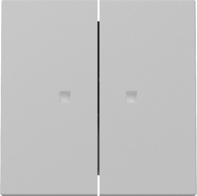 Wippe 2fach Kontrollfenster System 55 Grau matt (lackiert) 3631015