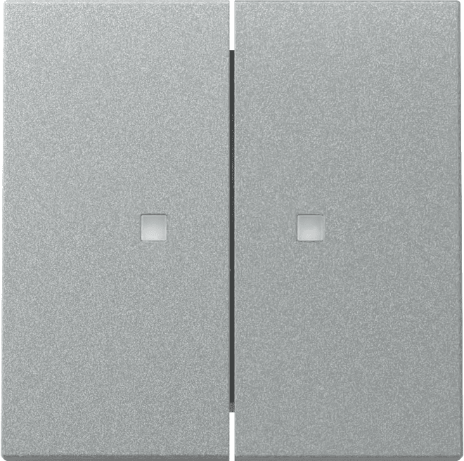 Wippe 2fach Kontrollfenster System 55 Farbe Alu 363126