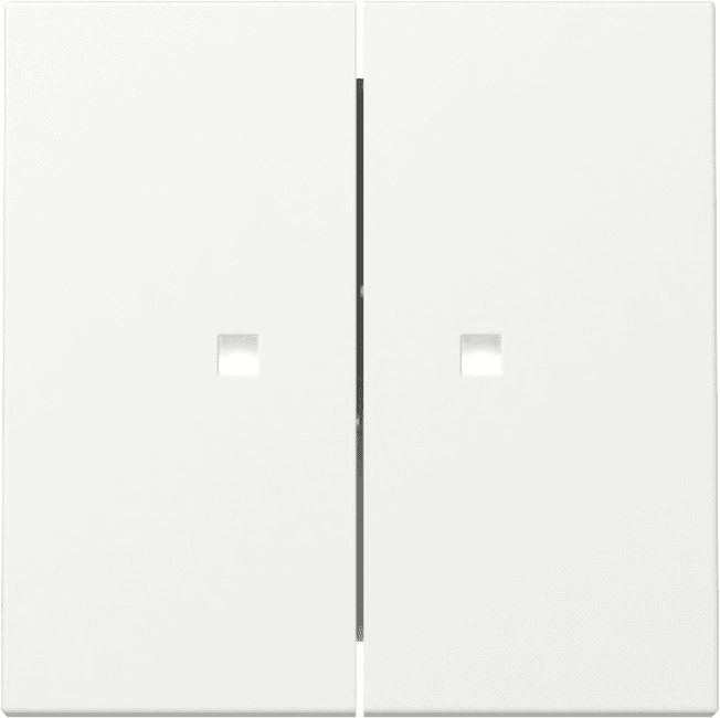 Wippe 2fach Kontrollfenster System 55 Reinweiß seidenmatt 363127