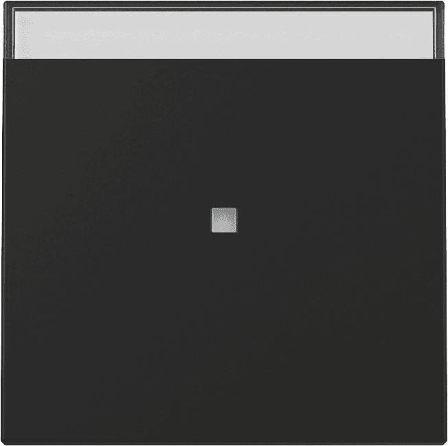 Wippe Kontrollfenster+BSF System 55 Schwarz matt (lackiert) 3670005