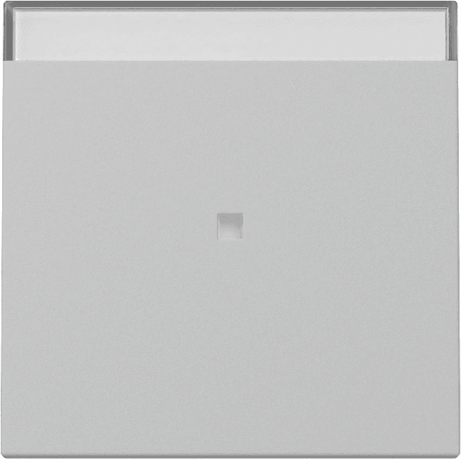 Wippe Kontrollfenster+BSF System 55 Grau matt (lackiert) 3670015