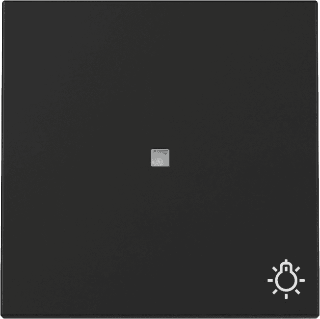 Wippe Kontrollfenster+Symb. Licht System 55