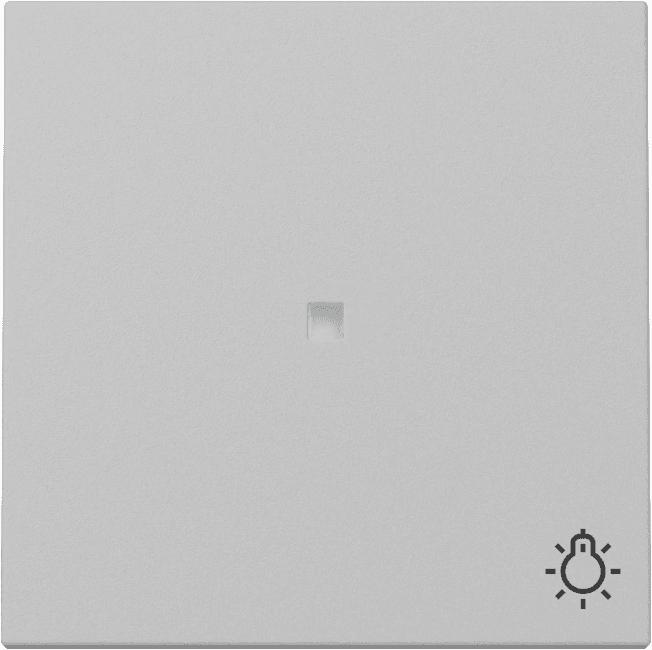 Wippe Kontrollfenster+Symb. Licht System 55 Grau matt (lackiert) 3674015