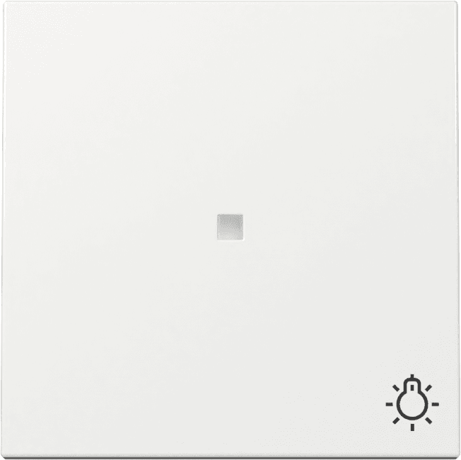 Wippe Kontrollfenster+Symbol Licht System 55