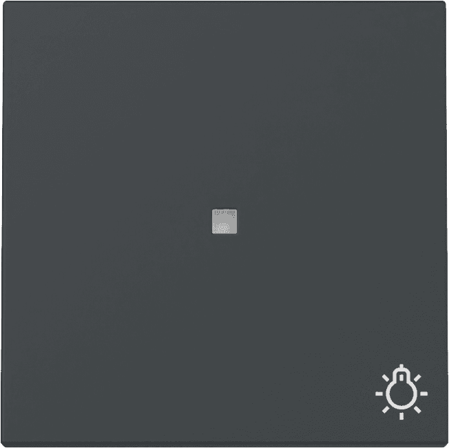 Wippe Kontrollfenster+Symbol Licht System 55 Anthrazit 367428