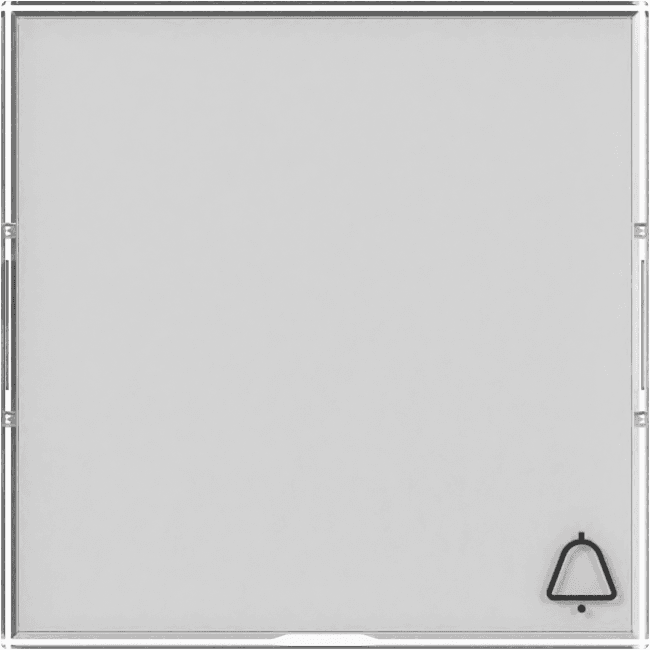 Wippe+BSF groß+Symbol Klingel System 55 Farbneutral