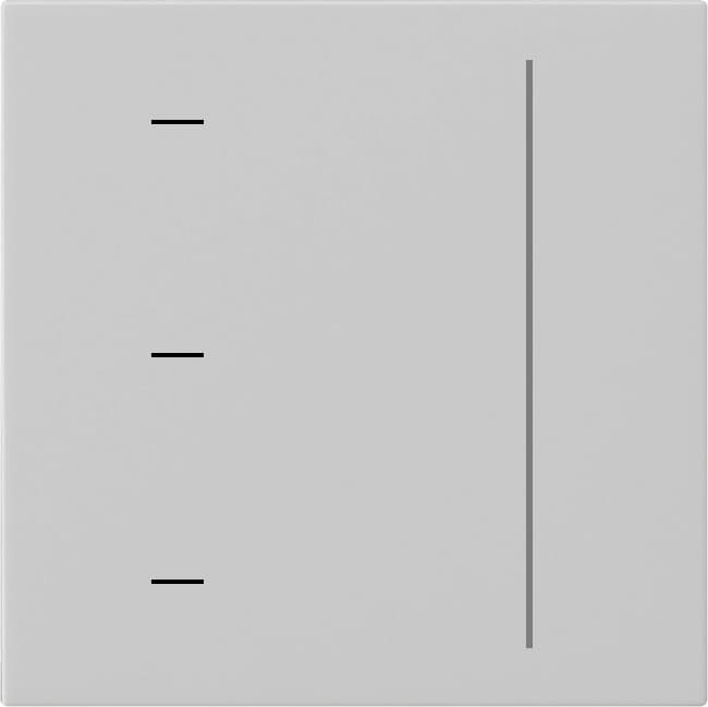 S3000 Touchaufsatz System 55 Grau matt (lackiert) 5365015