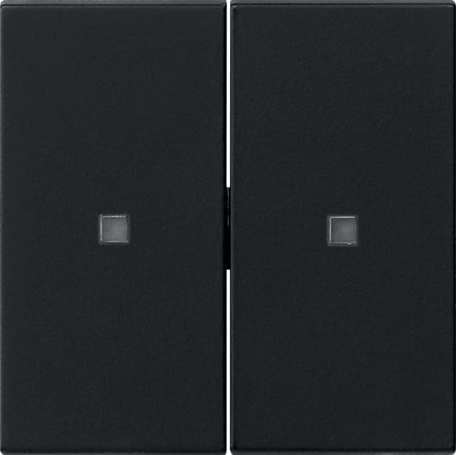 Wippe 2fach unbedruckt KF System 55 Schwarz matt (lackiert) 5369005