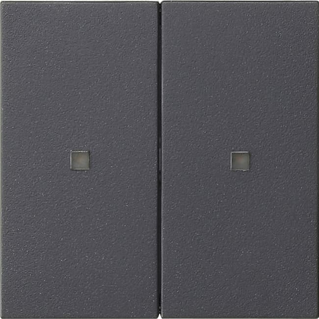 Wippe 2fach unbedruckt KF System 55 Anthrazit 536928