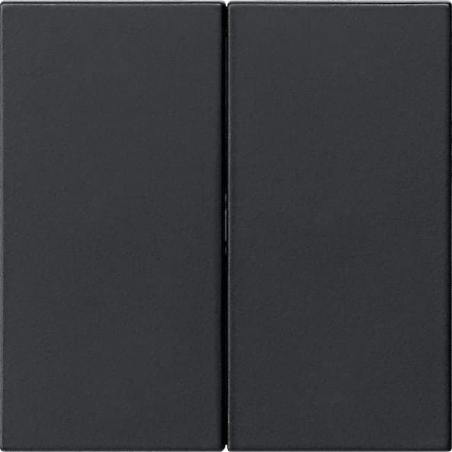Wippe 2fach unbedruckt System 55 Schwarz matt (lackiert) 5370005