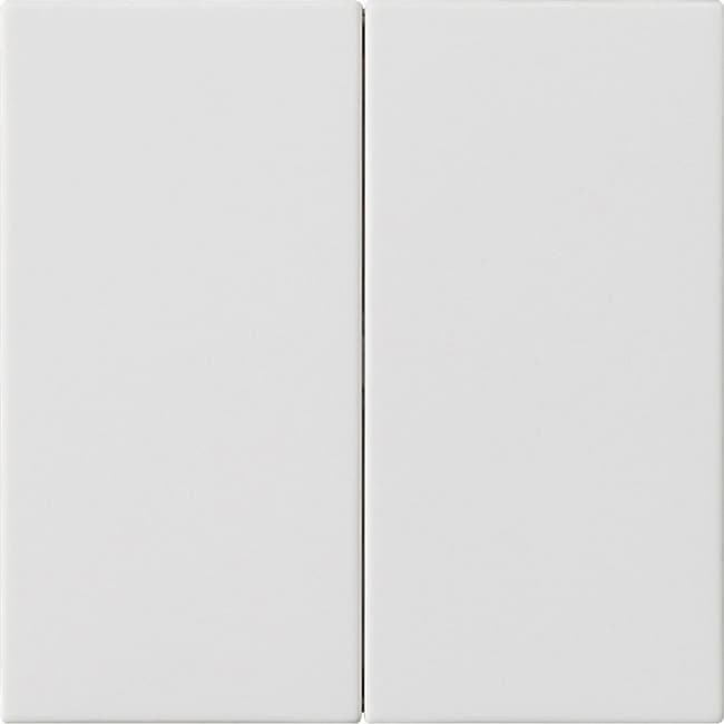 Wippe 2fach unbedruckt System 55 Reinweiß seidenmatt 537027