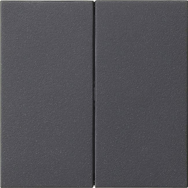 Wippe 2fach unbedruckt System 55 Anthrazit 537028