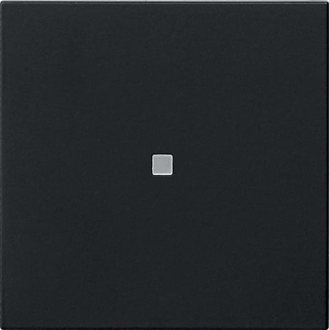 Wippe 1fach unbedruckt KF System 55 Schwarz matt (lackiert) 5371005