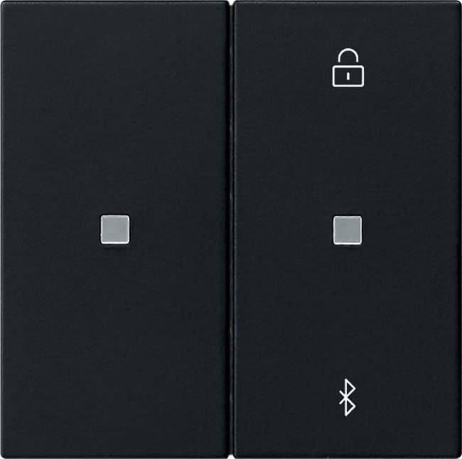 S3000 Jalousie-/Schaltuhr BT System 55 Schwarz matt (lackiert) 5381005
