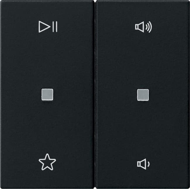 Wippe 2fach Audiosteuerung System 55 Schwarz matt (lackiert) 5384005