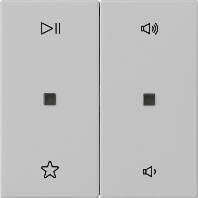 Wippe 2fach Audiosteuerung System 55 Grau matt (lackiert) 5384015