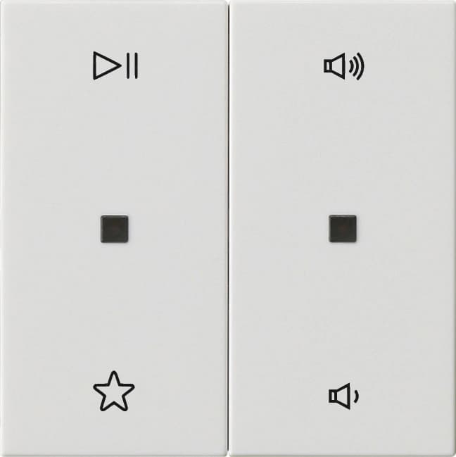 Wippe 2fach Audiosteuerung System 55 Reinweiß glänzend 538403
