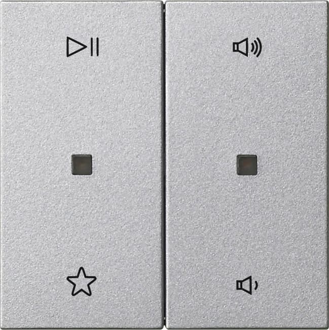 Wippe 2fach Audiosteuerung System 55 Farbe Alu 538426