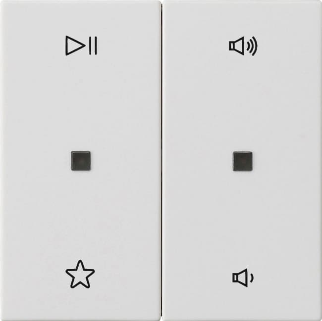 Wippe 2fach Audiosteuerung System 55 Reinweiß seidenmatt 538427