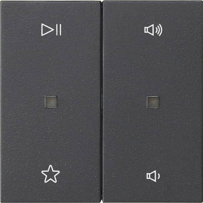 Wippe 2fach Audiosteuerung System 55