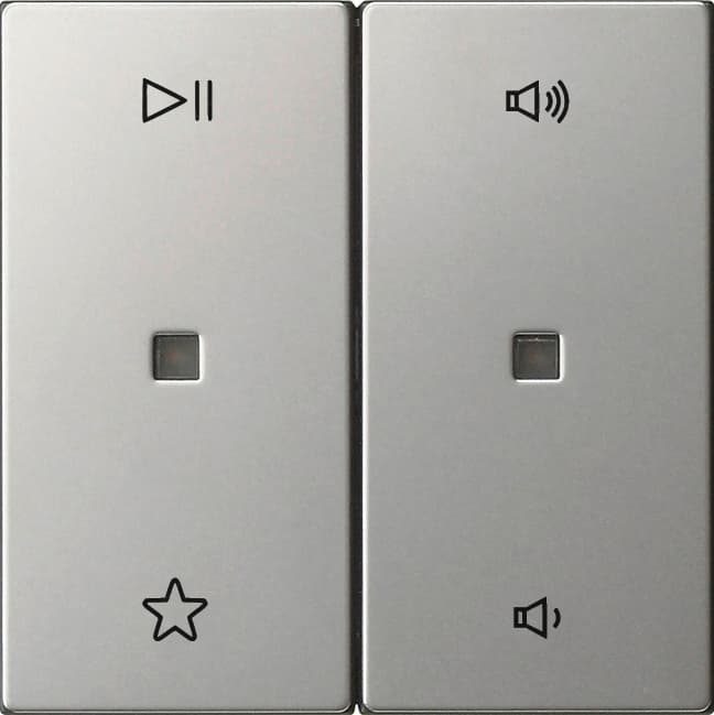 Wippe 2fach Audiosteuerung System 55 Edelstahl 5384600