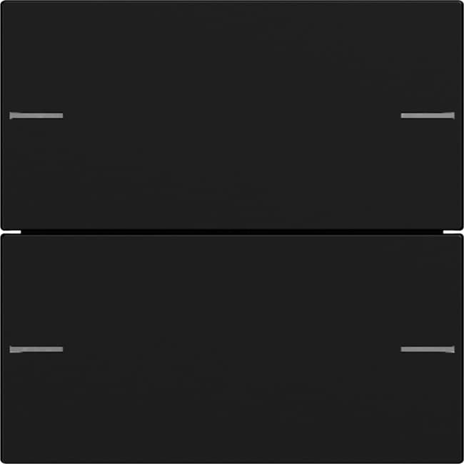 Wippenset 2fach Tastsensor4 System 55 Schwarz matt (lackiert) 5752005