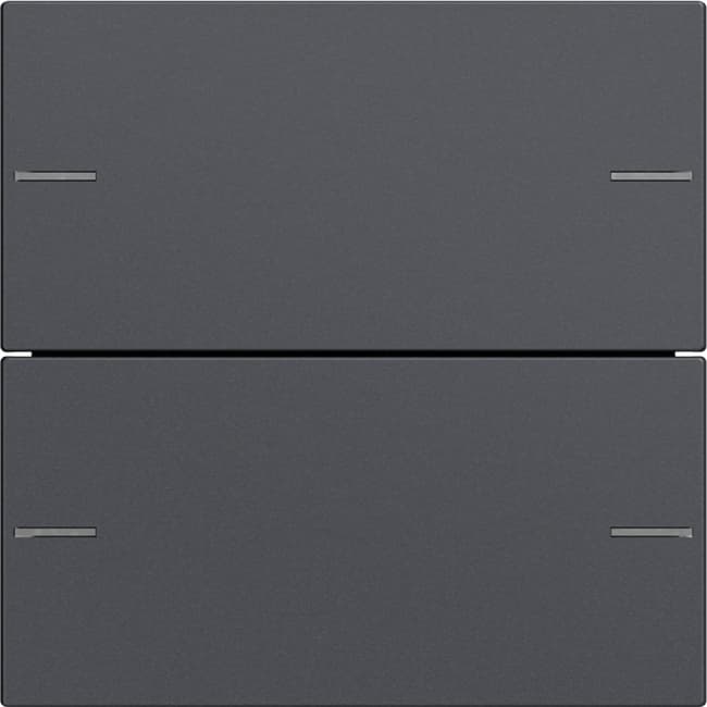 Wippenset 2fach Tastsensor4 System 55 Anthrazit 575228