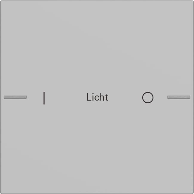 Wippenset 1fach indiv. Tastsensor4 System 55 Grau matt (lack.) 5761015