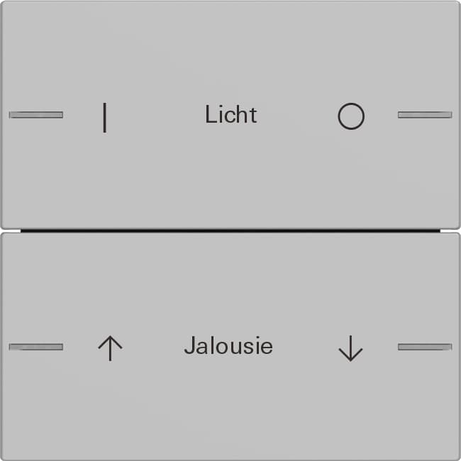 Wippenset 2fach indiv. Tastsensor4 System 55 Grau matt (lack.) 5762015