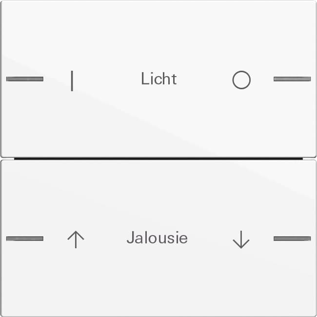 Wippenset 2fach indiv. Tastsensor4 System 55 Reinweiß glänzend 576203