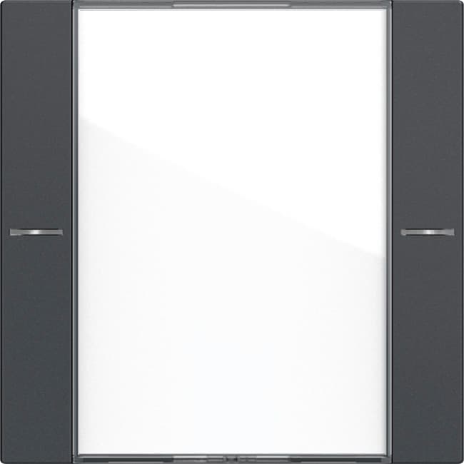 Wippenset 1f BSF Tastsensor4 System 55 Klar/Anthrazit 577128