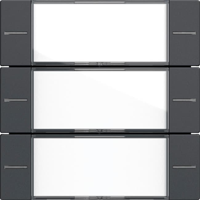 Wippenset 3f BSF Tastsensor4 System 55 Klar/Anthrazit 577328